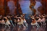 Moscow City Ballet - Jezioro Łabędzie. Widowisko w Teatrze Polskim
